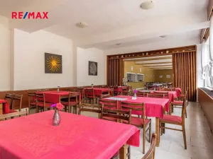 Prodej ubytování, Doksy, Pod Borným, 1700 m2