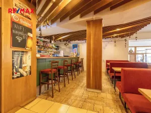 Prodej ubytování, Doksy, Pod Borným, 1700 m2