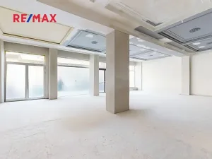 Pronájem obchodního prostoru, Praha - Nové Město, Hybernská, 526 m2