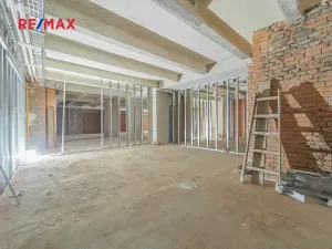 Pronájem obchodního prostoru, Praha - Nové Město, Hybernská, 526 m2