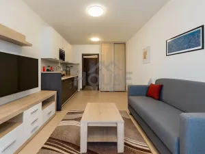 Prodej bytu 1+kk, Praha, Makedonská, 30 m2