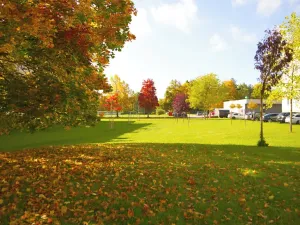 Prodej bytu 2+1, Bechyně, Na Libuši, 59 m2