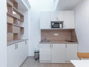 Pronájem bytu 1+kk, Praha - Nusle, Na Jezerce, 29 m2