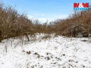 Prodej pozemku pro bydlení, Černolice, Mezi zahrádkami, 683 m2