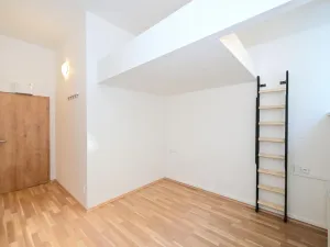 Pronájem bytu 1+kk, Praha - Smíchov, Radlická, 15 m2