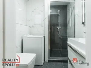 Pronájem bytu 3+kk, Praha - Libeň, Sokolovská, 44 m2