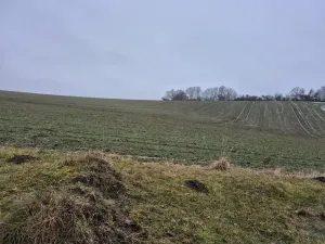 Prodej chaty, Struhařov, 40 m2