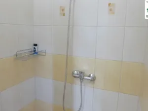 Prodej ubytování, Chodová Planá, Pohraniční stráže, 301 m2