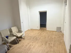 Pronájem obchodního prostoru, Ostrava, Mírová, 77 m2