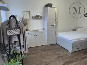 Pronájem bytu 1+kk, České Budějovice, Reinerova, 18 m2