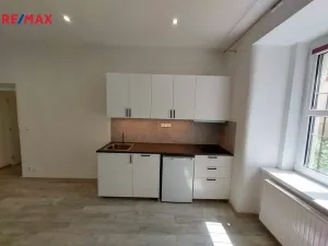 Pronájem bytu 1+kk, Praha - Bubeneč, dr. Zikmunda Wintra, 30 m2
