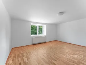 Prodej vícegeneračního domu, Kamýk nad Vltavou, 320 m2