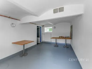 Prodej vícegeneračního domu, Kamýk nad Vltavou, 320 m2