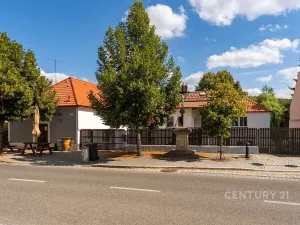 Prodej vícegeneračního domu, Kamýk nad Vltavou, 320 m2