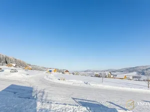 Prodej komerčního pozemku, Červená Voda, 1410 m2