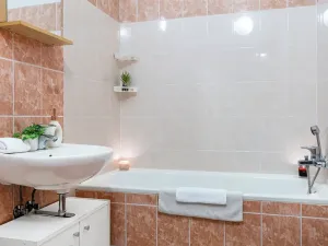 Prodej bytu 1+kk, Praha - Dolní Měcholupy, V osikách, 40 m2