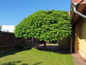 Prodej rodinného domu, Jesenice, Vestecká, 369 m2