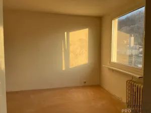 Prodej bytu 1+1, Ústí nad Labem, Jindřicha Plachty, 35 m2