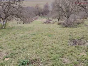 Prodej zahrady, Kunovice, Pod Kostelem, 3859 m2