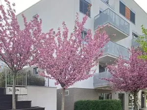 Pronájem bytu 2+kk, Praha - Hloubětín, Krylovecká, 55 m2