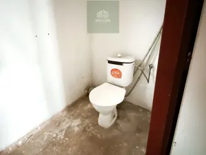 Pronájem komerční nemovitosti, Blovice, 790 m2