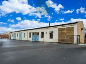 Pronájem komerční nemovitosti, Blovice, 790 m2