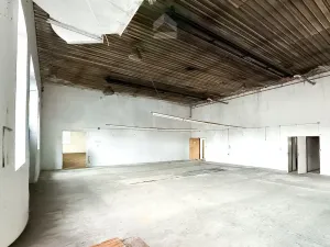 Pronájem komerční nemovitosti, Blovice, 790 m2