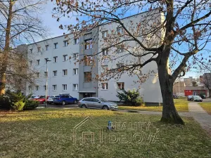 Prodej bytu 3+1, Ostrava, Gončarovova, 87 m2