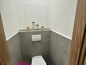 Pronájem bytu 2+1, Olomouc, Foerstrova, 58 m2