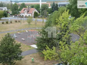 Pronájem bytu 1+kk, Nové Sedlo, Revoluční, 19 m2