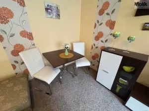 Pronájem bytu 1+1, Most, Marš. Rybalka, 35 m2