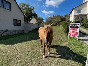 Prodej pozemku pro bydlení, Pašovice, 1279 m2