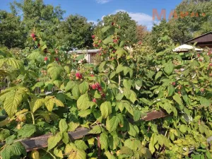 Prodej zahrady, Jirkov, 356 m2