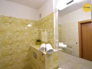 Pronájem bytu 1+kk, Všemina, 24 m2