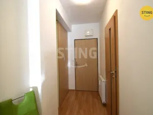 Pronájem bytu 1+kk, Všemina, 24 m2