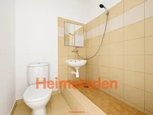 Pronájem bytu 1+1, Hlučín, Severní, 28 m2