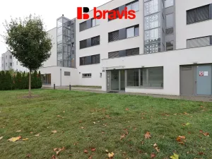Pronájem bytu 2+kk, Brno - Sadová, Menšíkova, 57 m2