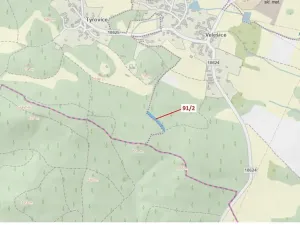 Dražba lesa, Pačejov, 1363 m2