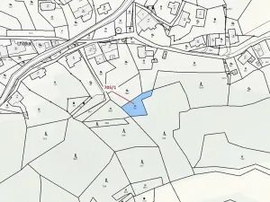 Dražba louky, Zlatá Olešnice, 438 m2