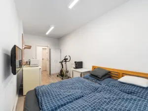 Prodej bytu 1+kk, České Budějovice - České Budějovice 3, Skuherského, 23 m2