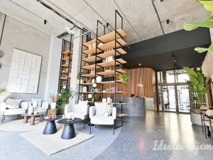 Pronájem bytu 1+kk, Brno, Bratislavská, 40 m2