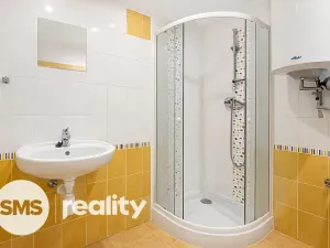 Pronájem bytu 1+kk, Opava - Město, Nákladní, 43 m2