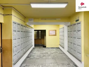 Prodej bytu 3+1, Přerov, Velká Dlážka, 60 m2