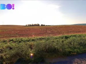 Prodej pole, Rakov, 6461 m2