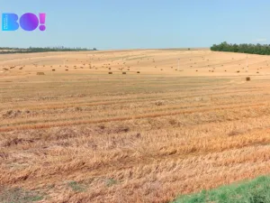 Prodej pole, Ořechov, 10874 m2