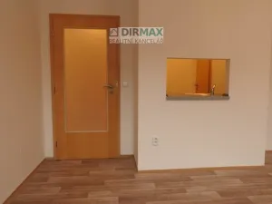 Pronájem bytu 1+kk, Plzeň, Pod Všemi svatými, 25 m2