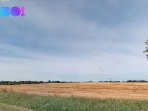 Prodej pole, Hevlín, 5248 m2