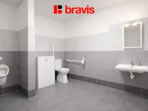 Pronájem obchodního prostoru, Kobylnice, U Řempa, 124 m2