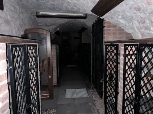 Pronájem komerční nemovitosti, Hradec Králové, Velké náměstí, 290 m2