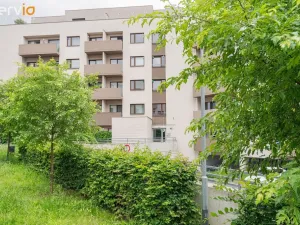 Prodej bytu 3+kk, Brno, Kigginsova, 176 m2